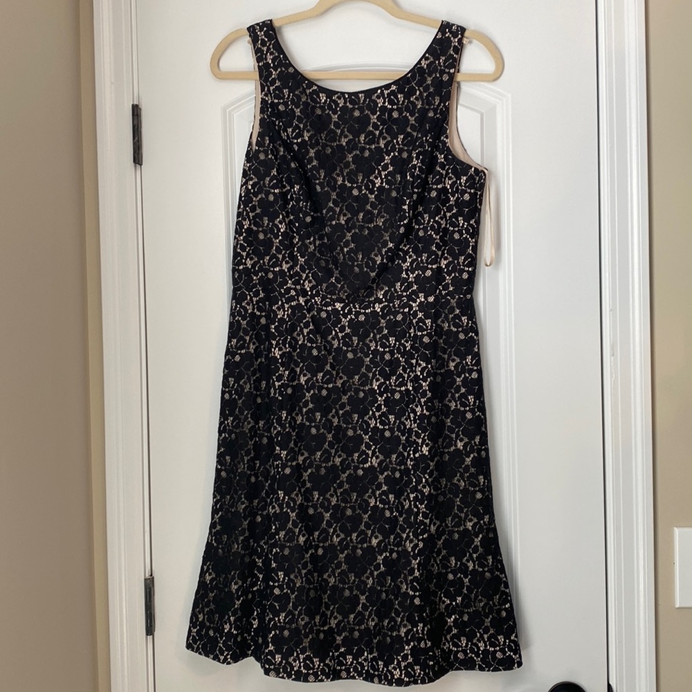White House Black Market Lace Dress